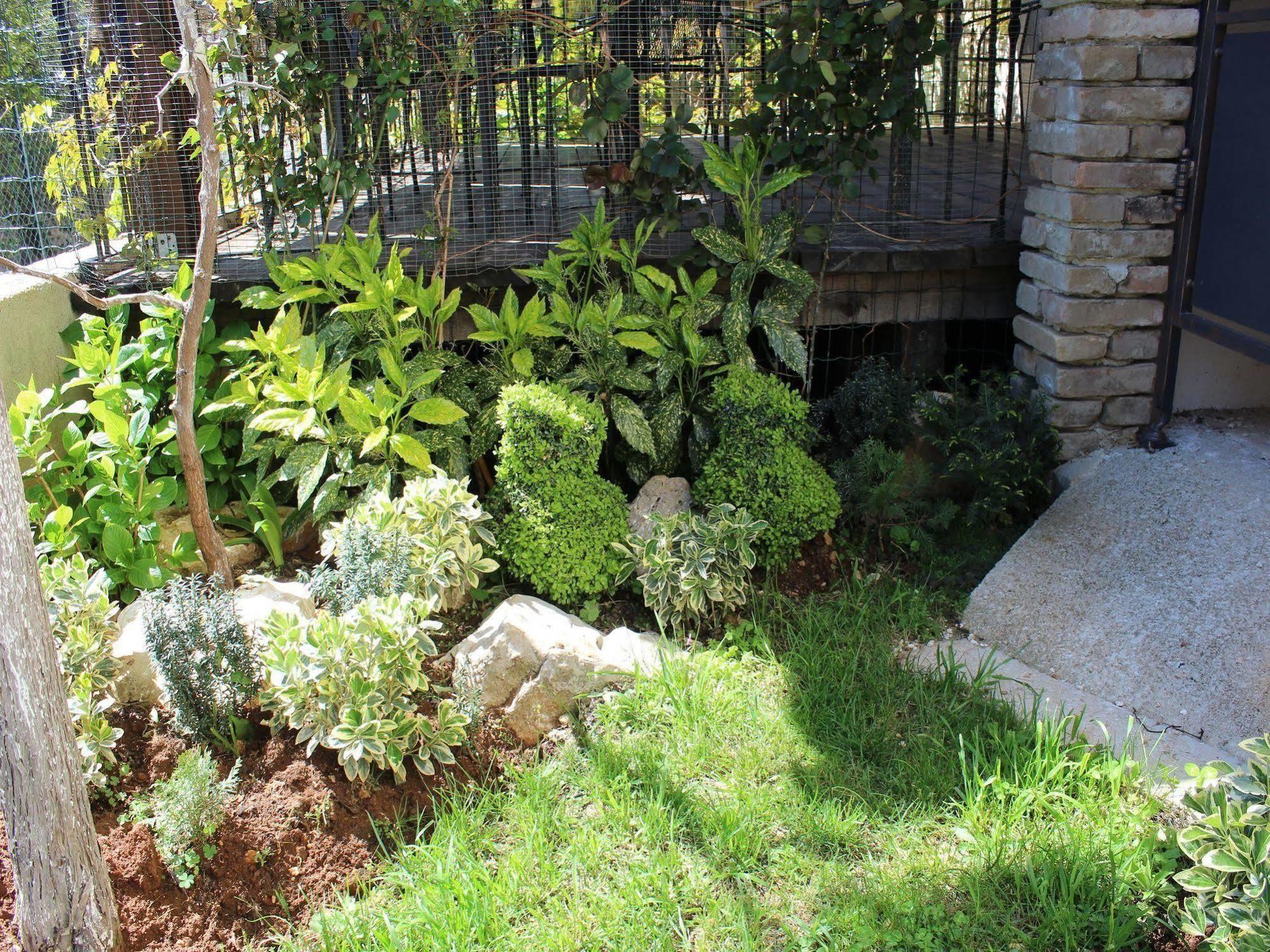 Rooms And Apartment Feral Rovinj Exterior foto