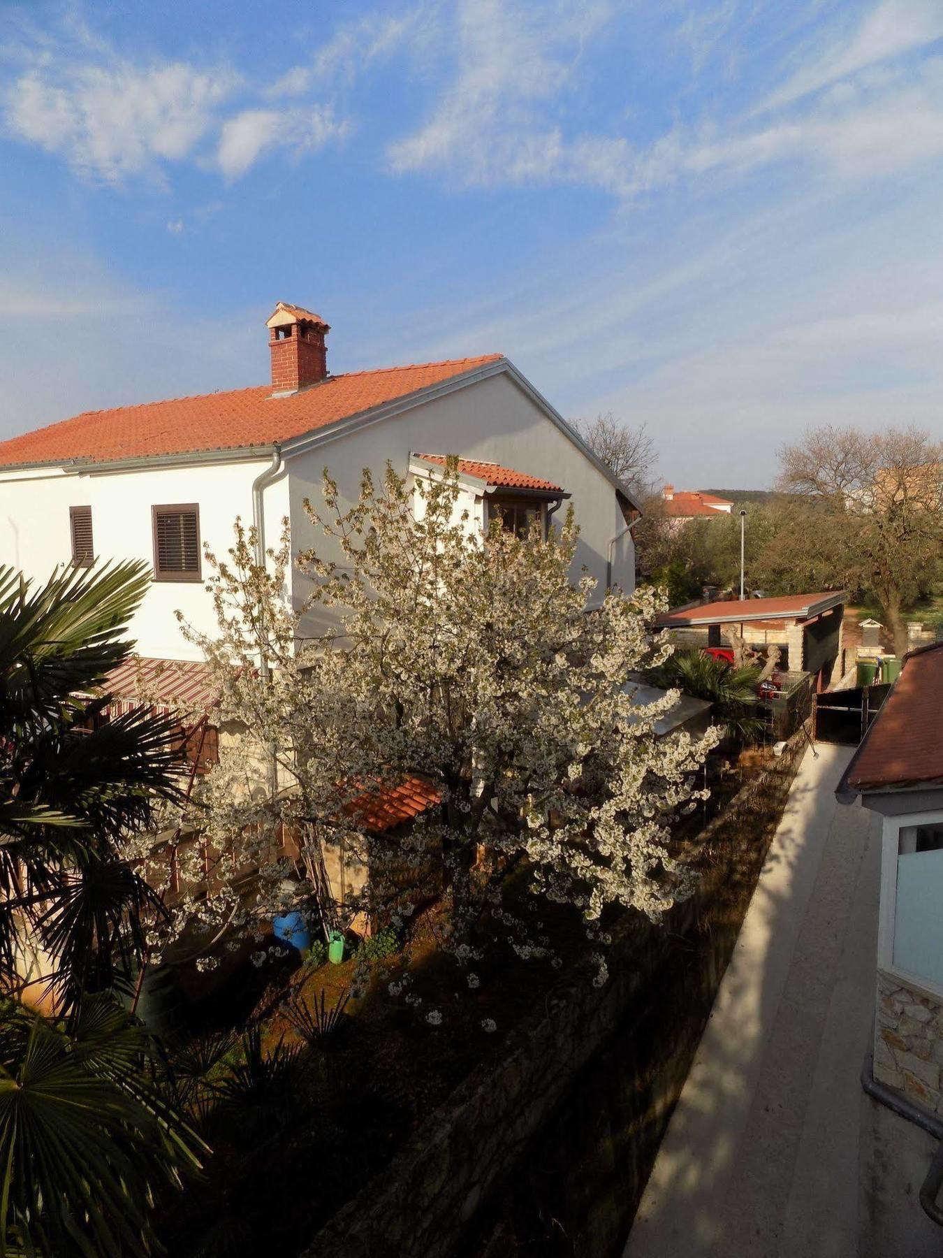 Rooms And Apartment Feral Rovinj Exterior foto